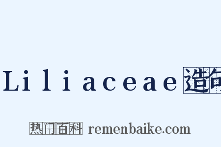 Liliaceae造句是什么意思的图片